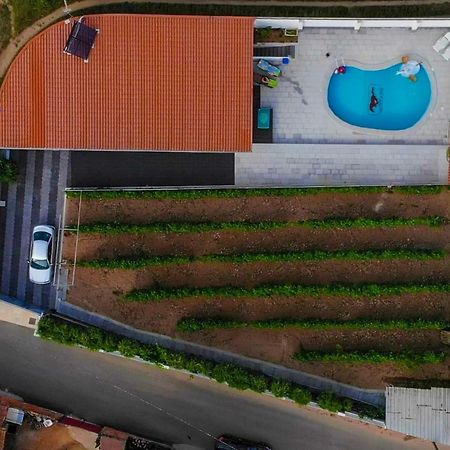 Casinha Das Bonecas - Casa Com Piscina Privada Aveiro Zewnętrze zdjęcie